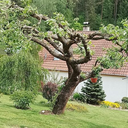 Ubytovani Iris Dolany  Kültér fotó