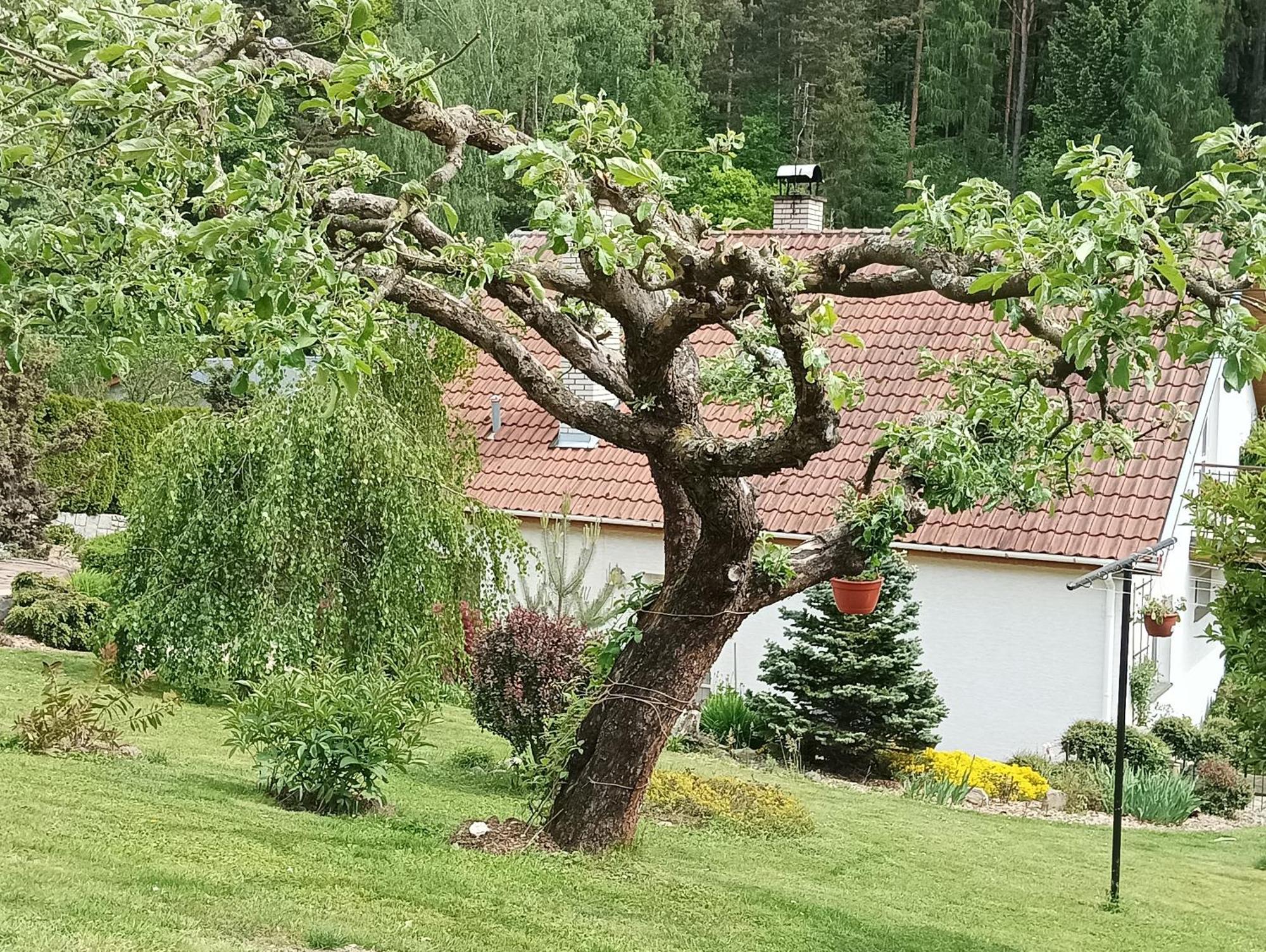 Ubytovani Iris Dolany  Kültér fotó